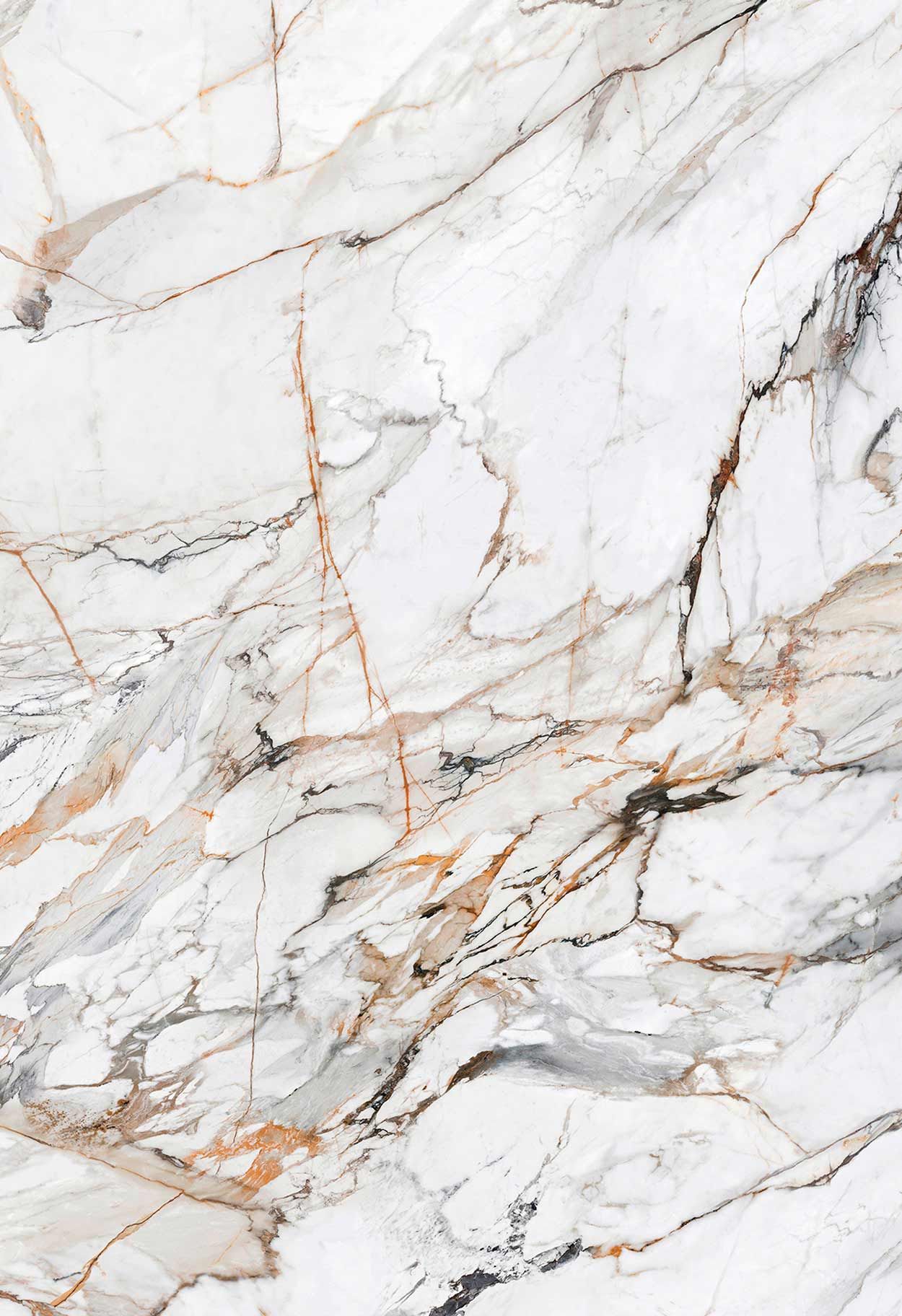 Dalle Neolith Calacatta Luxe